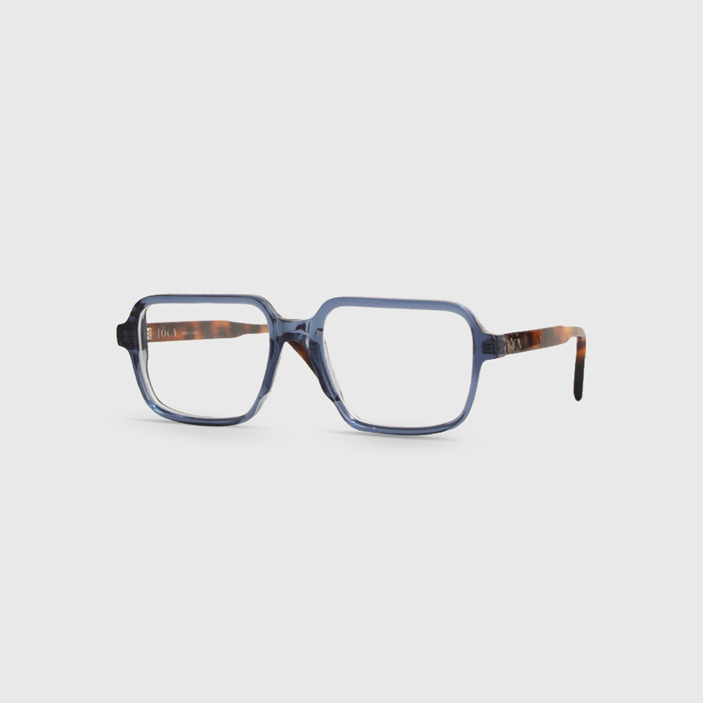 Joca- Coté- SELVAR- C13N2-0